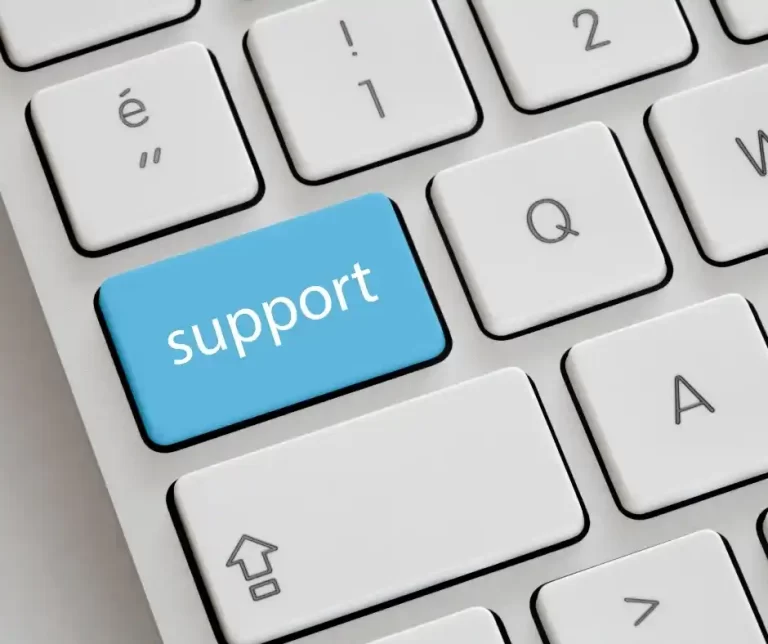 Entrepreneurship & Business Support
